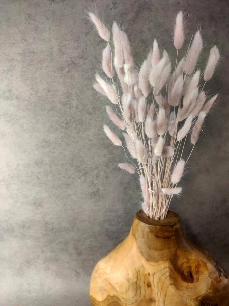 Trockenblumen-Lagurus-pastellrosa-stehend